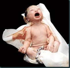 newborn