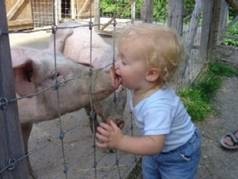 [Nicekiss[2].jpg]