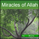 Miracles of Allah, Miracles of Muhammad, Miracles of Islam, Miracles of Holly Quran - Pictures, Videos, Ahaadiths