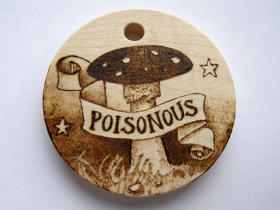 poisonous toadstool 3