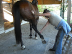 Clinic Jan 09 inv oahf and anc 265.JPG