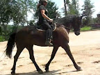 aug 09 Dads visit  bear video by lake 004-5.jpg