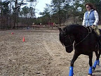 Deb trotting Shay.jpg
