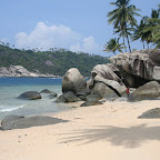 IMG_9989.JPG