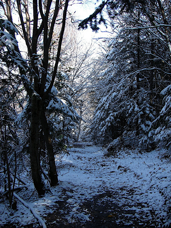 sneeuw