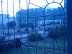 First view from study