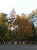 Jida south lake campus in autumn