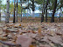 Jida south lake campus in autumn
