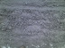 dirtysnow (Medium).jpg
