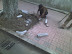07291540 (Medium).jpg