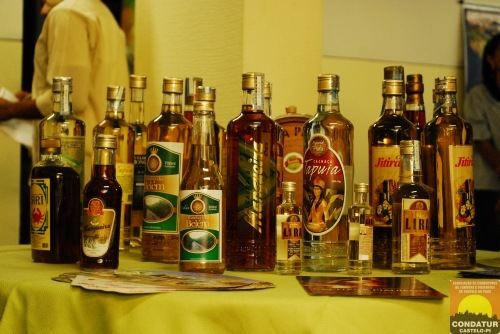 [lancamento c.fest3[3].jpg]