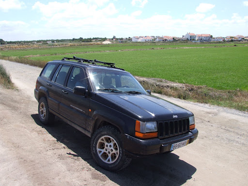 DSCF2895.JPG
