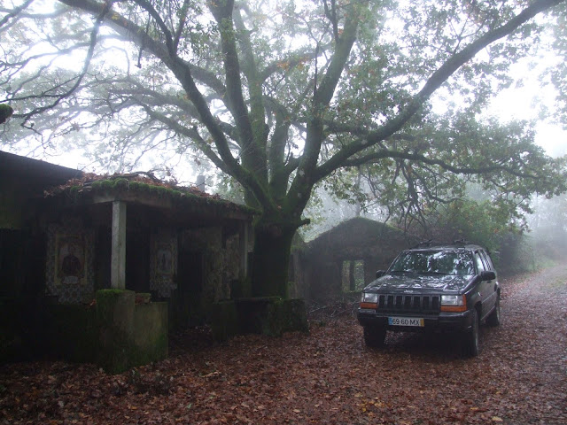 DSCF9263.JPG