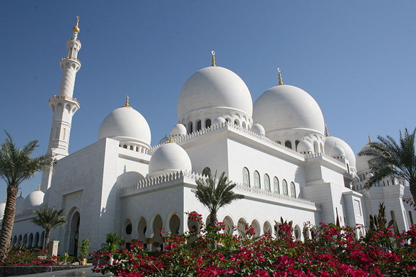 قبة مسجد زايد 