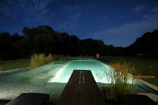 [natural-swimming-pool-1.jpg]