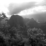 La Réunion - Forêt de Belouve