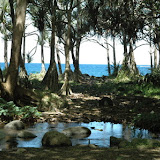La Réunion - Anse des Cascades - Septembre 2008