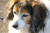 IMGP2391.JPG