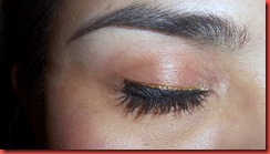 Falsies 1 Falsies 1