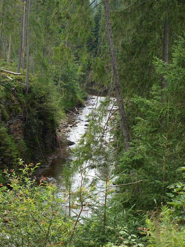 P8077133.JPG