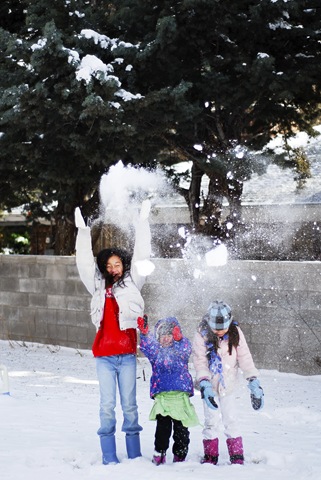 [snow3[5].jpg]