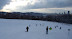 Playing in the Snow
