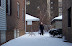 Playing in the Snow