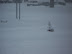 Shopper Stopper - Blizzard of '09