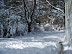 Snowpocalypse 2010