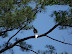 Jamestown Settlement in May