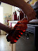Beer Making - 1st Brew