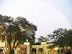 Magic Kingdom