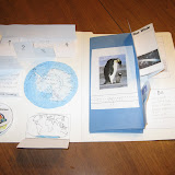 Antarctica Lapbook -- inside with open flaps