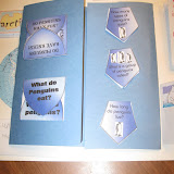 first unfolding of penguin mini-lapbook