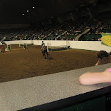 Madeline watching the horse riding competitor