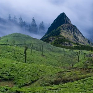 [darjeeling.[4].jpg]