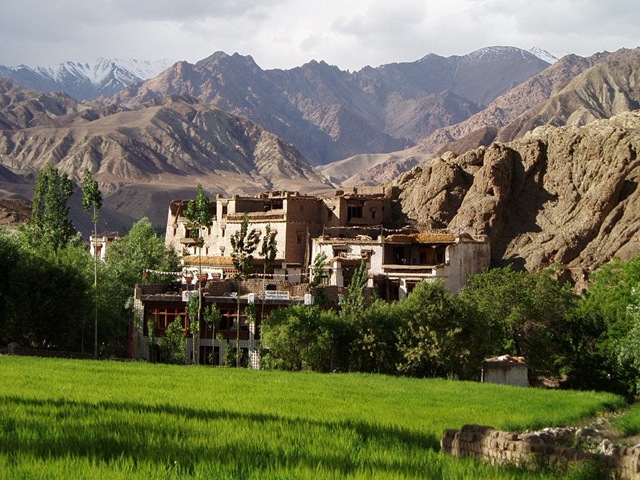 [Leh1[4].jpg]