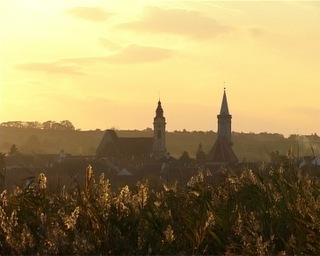 [rust_austria[5].jpg]