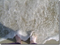toes in the water toes in the water