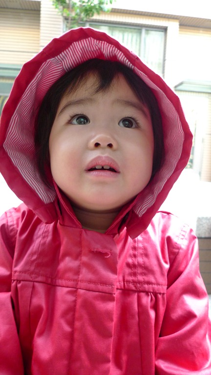 [P1050611[5].jpg]