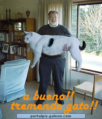 Gatopardo...!