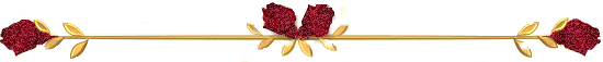 1008664hz9r7h8f4q 1008664hz9r7h8f4q