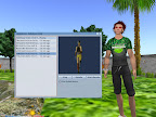 Phoenix Viewer's Animations Viewer Window