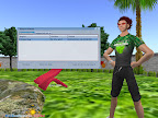 Phoenix Viewer's Teleport History Window