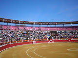 A bull fight in Spain.