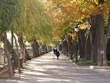 Paseo de Espolón... a nice street with a good view in Burgos.