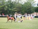Horse show during the festivals of Burgos.
