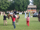 Giving the prize for the best jumper at the horse show held during the festivals of Burgos.