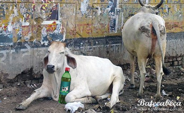 [refrigerantedeurina[4].jpg]