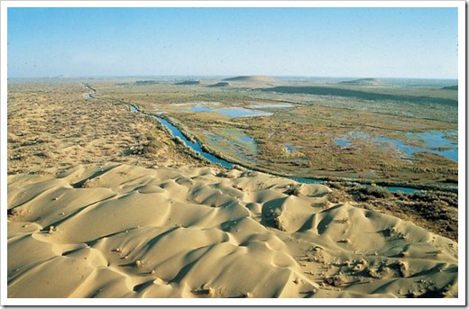 playaaral20070410